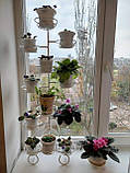 Підставка для квітів на 12 малих чаш "Наталі", фото 6