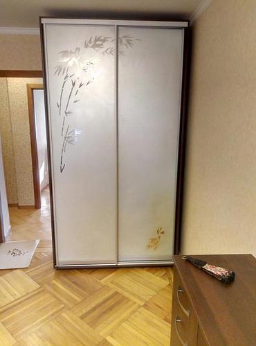 Шафа-купе 1100х600х2100 Влаби - 2 фасаду купити в Україні