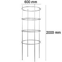 Кольцевая шпалера для растений 2000*600/4