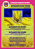 Стенд "Державні символи України" в кабінет ЗАХИСТ ВІТЧИЗНИ , фото 10