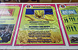 Стенд "Державні символи України" в кабінет ЗАХИСТ ВІТЧИЗНИ, фото 6