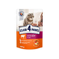 CLUB 4 PAWS PREMIUM Клуб 4 лапы влажный корм для котов с говядиной в желе, 100 гр.