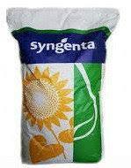 Соняшник СІ РОЗЕТА КЛП Syngenta (SY ROSETA CLP), насіння соняшника під євро лайтинг