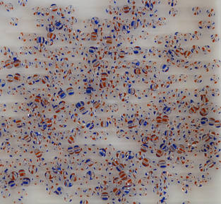 Бісер Preciosa Ornela розмір №10 упаковка по 5г, 10г, 50г