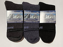 Шкарпетки чоловічі зимові ТЕРМО NordTech махрові Туреччина