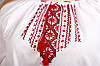Блузка ручної вишивки, червоні орнаменти, фото 2