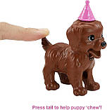Barbie Puppy Party GXV75 Лялька Барбі Вечірка для цуценят, фото 5