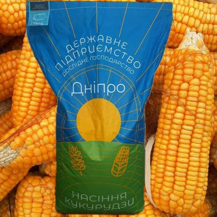 Насіння кукурудзи ДК ВЕЛЕС Фао 270 (27кг), фото 1