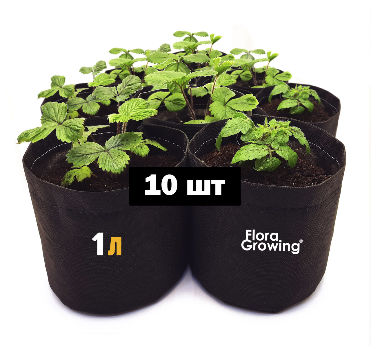 10 шт Тканинних горщиків для розсади Grow Bag Mini — 1 л 12х12 см