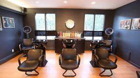 Мийки перукарські