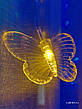 Гірлянда Бахрома з метеликами 4 м*0,6 м різнокольоровий, фото 2