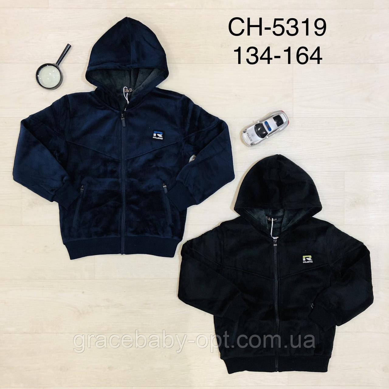 Велюрові утеплені пайти для хлопчика оптом, S&D, 134-164 см, № CH-5319