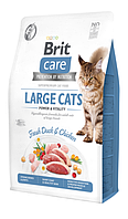 Brit Care Cat GF Large cats Power & Vitality Корм для собак великих порід з куркою і качкою 2 кг
