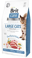 Brit Care Cat GF Large cats Power & Vitality Корм для собак великих порід з куркою і качкою 7 кг