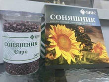 Насіння соняшнику гібрид ЄВРО (під євро лайтнінг)