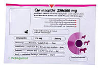Клавасептин 250мг Vetoquinol Clavaseptin противоинфекционный препарат для собак и кошек, 10 таблеток