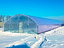 Теплиця "Екстра 8" 8х20 (160 м2) під двошарову плівку, фото 5