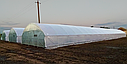 Теплиця "Екстра 8" 8х20 (160 м2) під двошарову плівку, фото 4