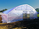 Теплиця "Екстра 8" 8х20 (160 м2) під двошарову плівку, фото 6