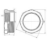 Футорка Thermo Alliance Forte 2" 1/2 НВ SF3745040, фото 2