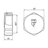 Заглушка Thermo Alliance Forte 1" ВР SF35225, фото 2