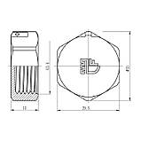 Заглушка Thermo Alliance Forte 3/4" ВР SF35220, фото 2