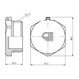 Заглушка Thermo Alliance Forte 3/4" НР SF35320, фото 2