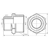 Ніпель редукційний Thermo Alliance Forte 3/4"х1/2" хром SF359H2015, фото 2