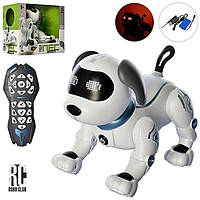 Собачка на радиоуправлении RC0004 , сенсор, танцует, шевелит головой, лапками, муз., звук, свет., на аккум.,