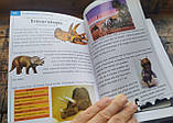 Динозаври — набір для розкопок і Книга про них, фото 10