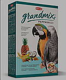 Грандмікс Паппагаллі комплексний корм для великих папуг (амазон, жако, какаду, ара, )2кг, фото 2