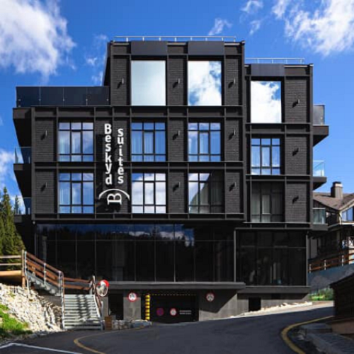Двосторонній Ранчо для готелю "Beskyd Suites", Буковель