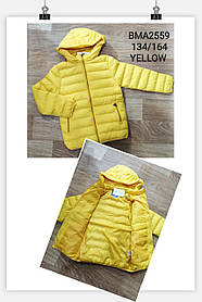Куртка для хлопчиків оптом, Glo-story, 134-164 см, № BMA-2559