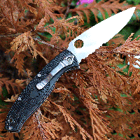 Ніж Spyderco Resilience C142PSBK