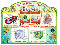 Будова екосистеми