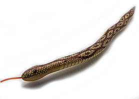Змія дерев'яна (50 см)