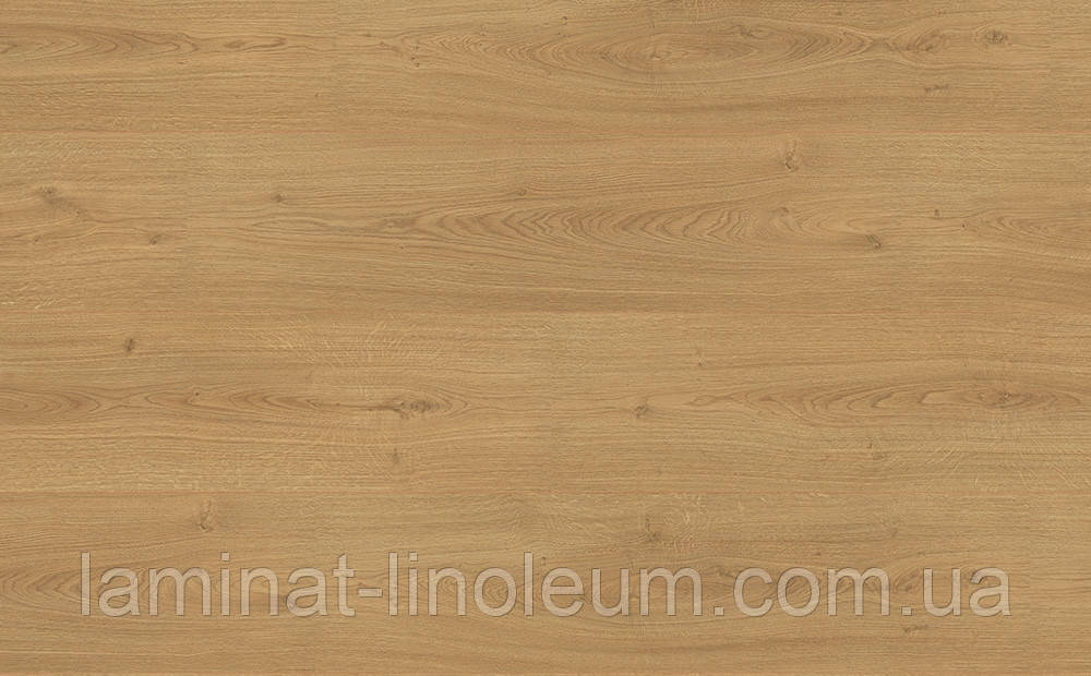 Ламінат Egger, Еггер, HOME Classic Kingsize EHL067 Дуб Типфорд, товщина 8 мм, клас 32, з фаскою 4V., фото 1