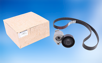 Комплект ременя генератора на Renault Clio 2, Symbol 2 (1.5 K9K) / Renault (Original) 117202506R