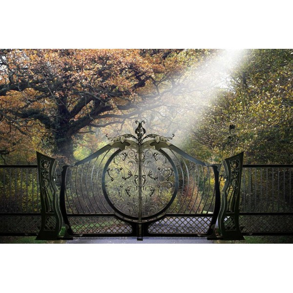 Ворота ковані Хортиця, Хортиця плюс ( Хортиця)