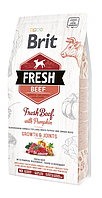 Brit Fresh Beef Pumpkin Puppy Junior Large Корм для цуценят і молодих собак великих порід 2.5 кг