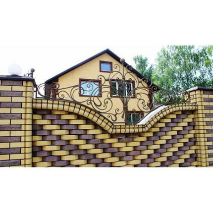 Забор кованый Ємілі, фото 2