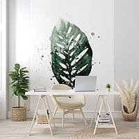 Флизелиновые фото обои растение 184x254 см Большой лист на белой стене (13754V4A)+клей