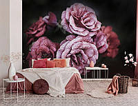 Фотообои розы в спальню 368x280 см 3D Цветы с каплями росы на черном фоне (13966P10)+клей