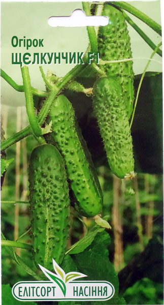 Насіння огірка Щєлкунчик F1 10 шт. самозапильний, фото 1