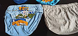 Трусы детские,р.98,104,110, фото 3