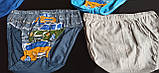 Трусы детские,р.98,104,110, фото 2