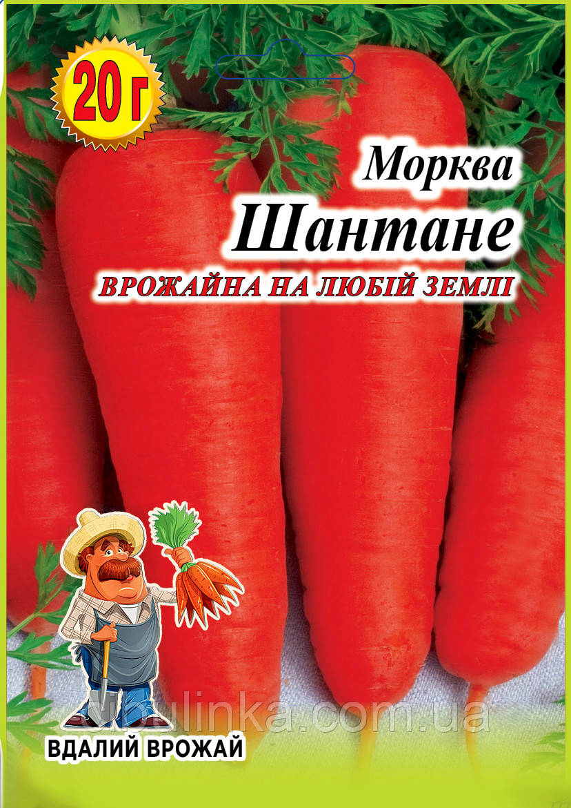 Морква Шантане 20 г, фото 1