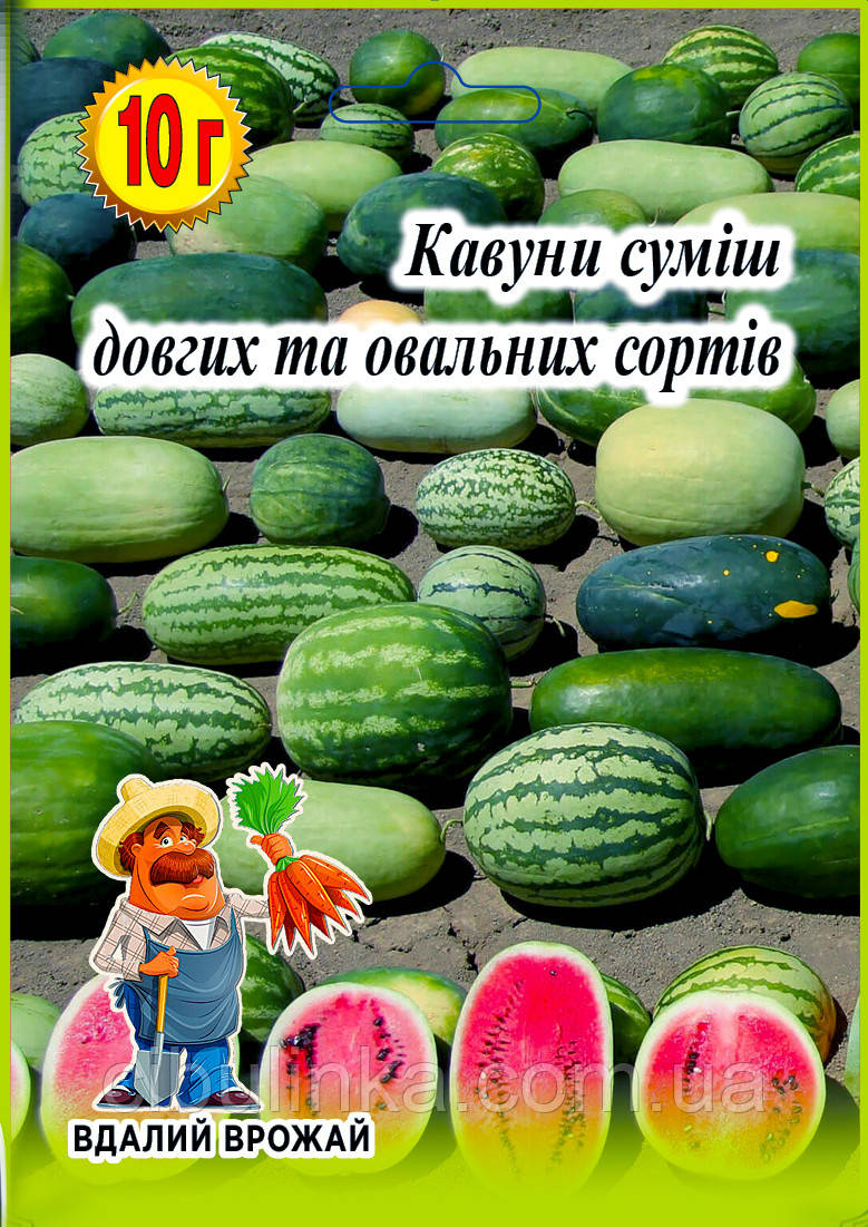 Кавун Суміш Длиннных і Овальних сортів Вдалий врожай 10 г, фото 1