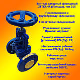 Вентиль фланцевий Zetkama Польща чавунний, тип 215А сідлової сальниковий запірний клапан, DN15 PN16, фото 2