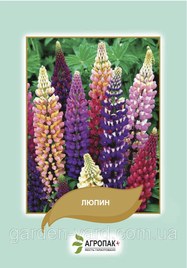 Насіння квітів Люпин Агропак плюс